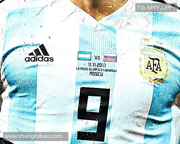 布歇尔国家队首秀进球