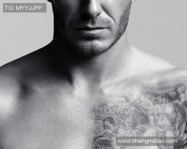 佩莱格里尼：球迷支持是动力