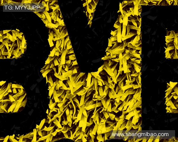 德温特这脚远射世界波