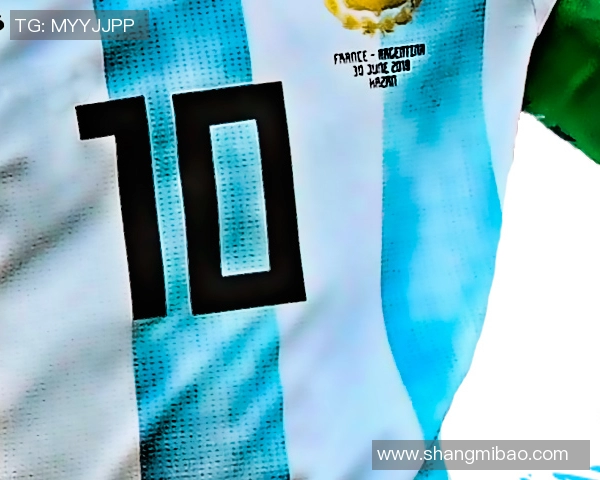 阿尔巴尼亚队全队众志成城画面