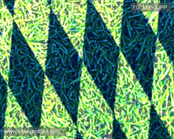 奥斯梅恩脚弓推射死角